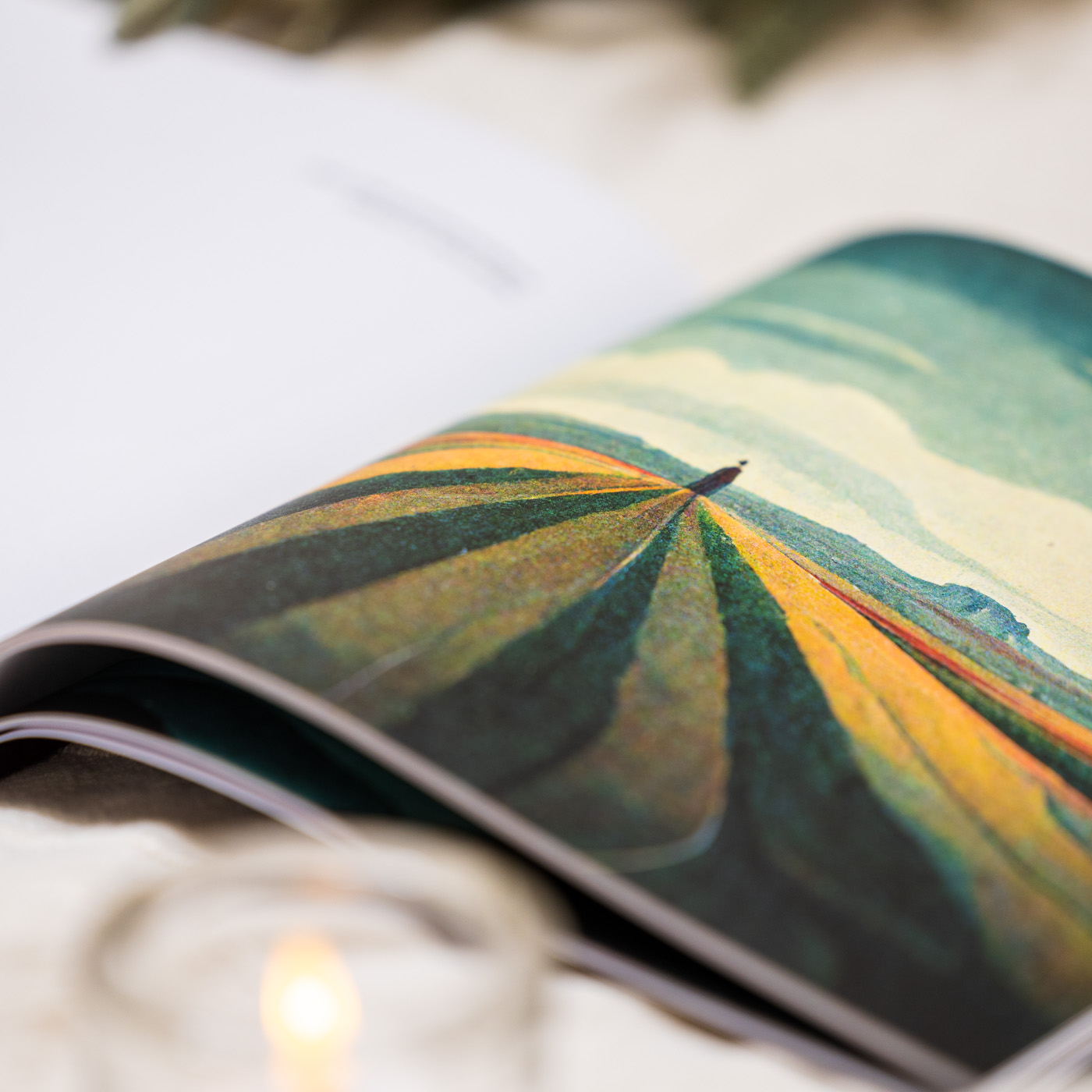 Aum Golly -sarjan kuvitus